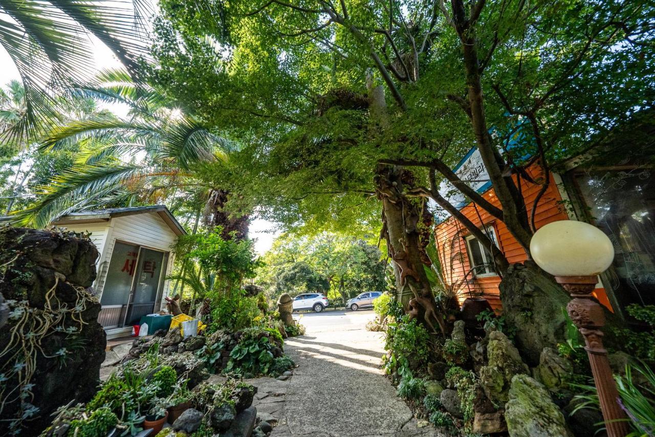 Valley Village Seogwipo-stad Buitenkant foto